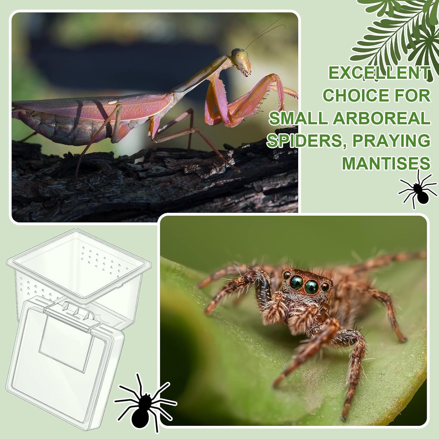 30 Pcs Insect Spider Terrariums Breeding Box, Tarantula Enclosure,Enclosures for Small Reptiles, Centipedes with Lids for Insect & Spider Breeding & Reptile Hatching(Small Size) image number 5