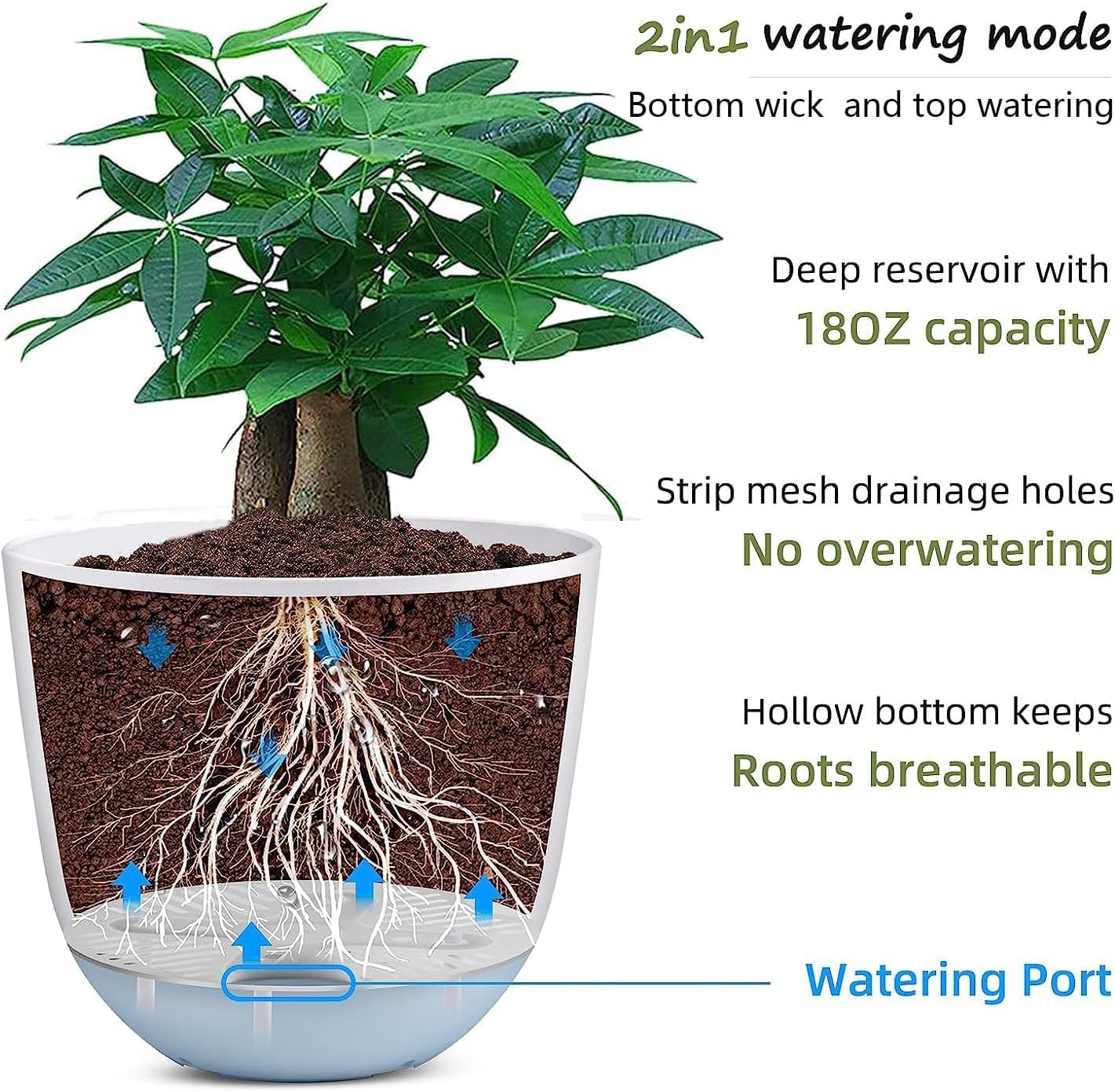 2 Pieces of 20Cm Self Watering Planters High Drainage with Deep Saucer Reservoir,For Indoor & Outdoor Garden Flowers Plant Pot (Green) image number 4