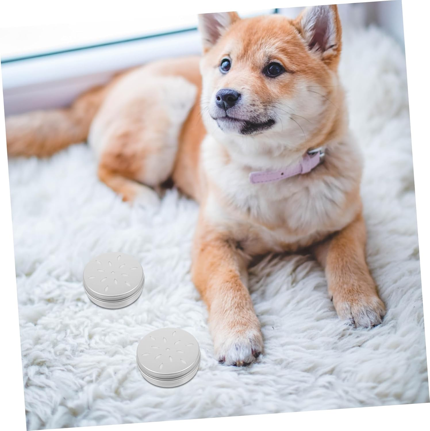 Baluue 10Pcs Odor Training Tool for Dogs Dog Scent Training Threading Tool Dog Training Tools Dog Nose Scent Case Metal Tins with Lids Police Dog Work Aluminum Box Frame image number 4