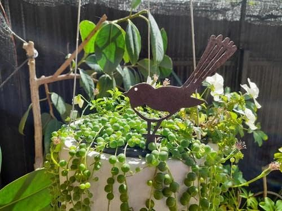 Wagtail Pot Decoration - Australian Made Rusted Metal Garden Art image number 3