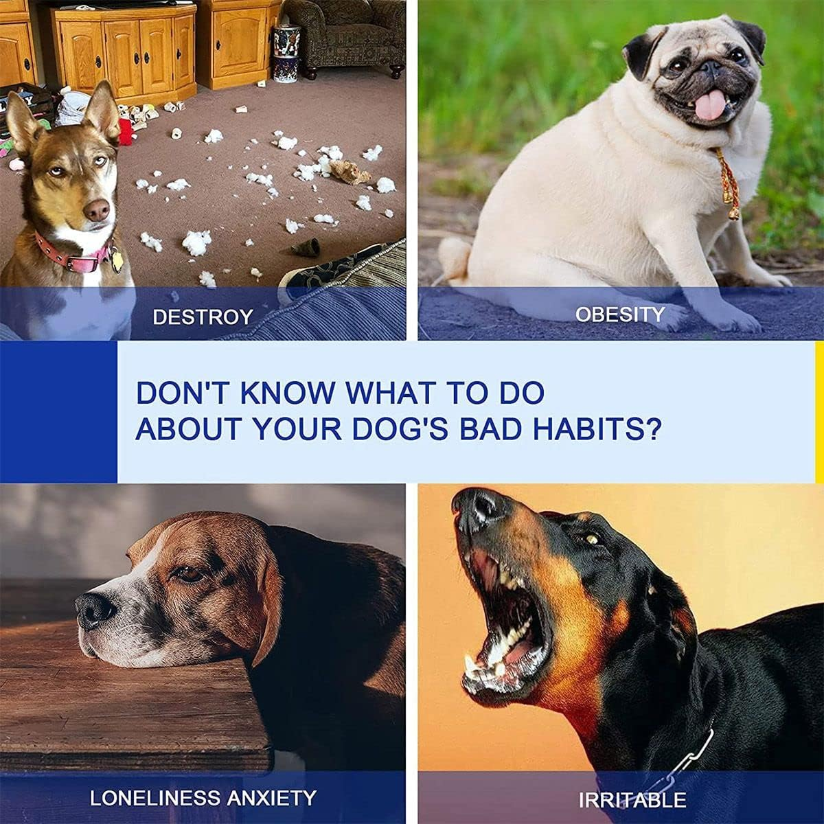 12Pcs Dog Agility Equipment Pet Weave Pole Puppy Interactive Toys Dog Exercise Training Adjustable with Carrying Case