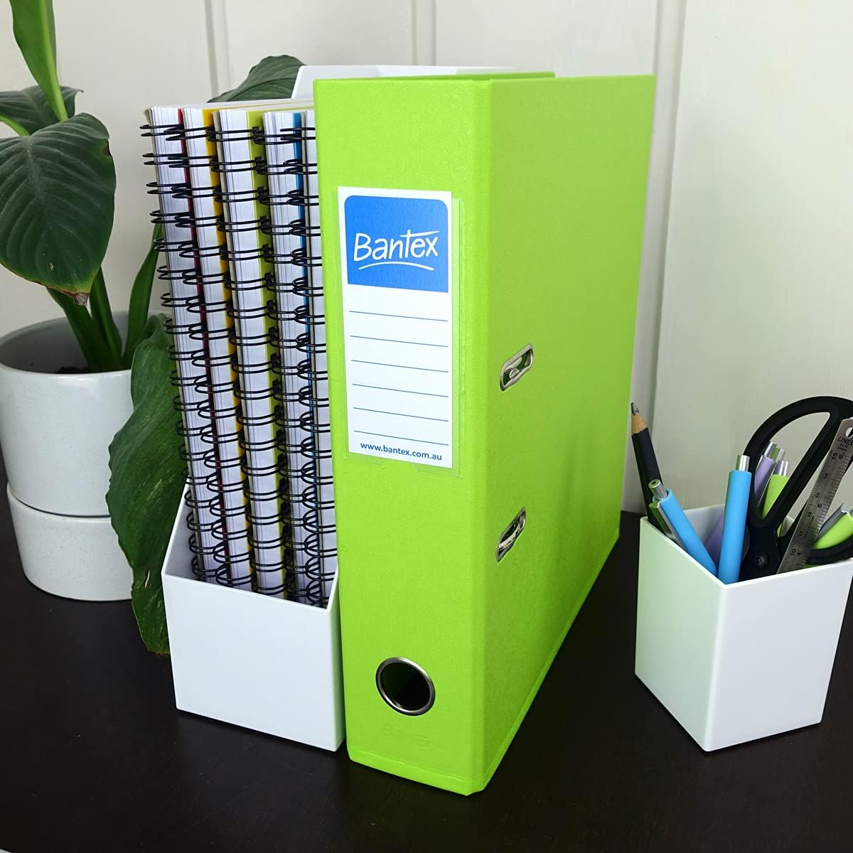 Bantex, Fruits Lever Arch File, PVC, A4, 70Mm, Lime [Item No. 100851509] image number 2