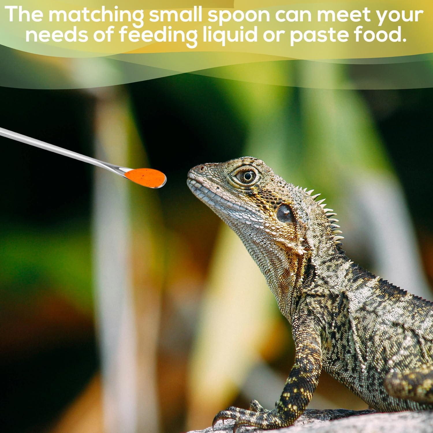 3Pcs Reptile Feeding Tongs, Reptile Feeding Tweezers with Rubber Tip Straight Clip Curved Clip Spoon Long Aquarium Tweezer for Terrarium Lizard Spider Snake Tank Accessories for Reptile Lovers image number 4