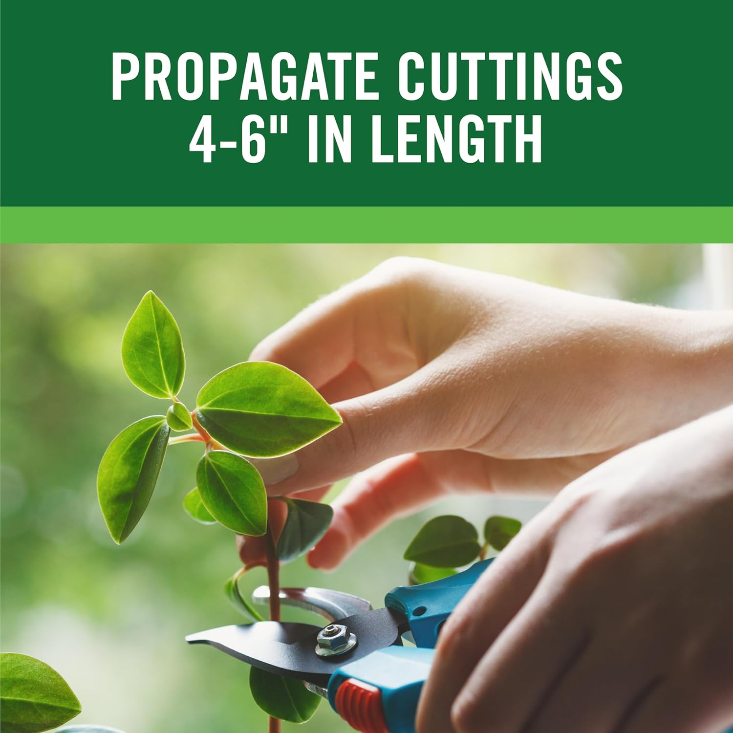 Rootboost Rooting Hormone 2 Ounces image number 1