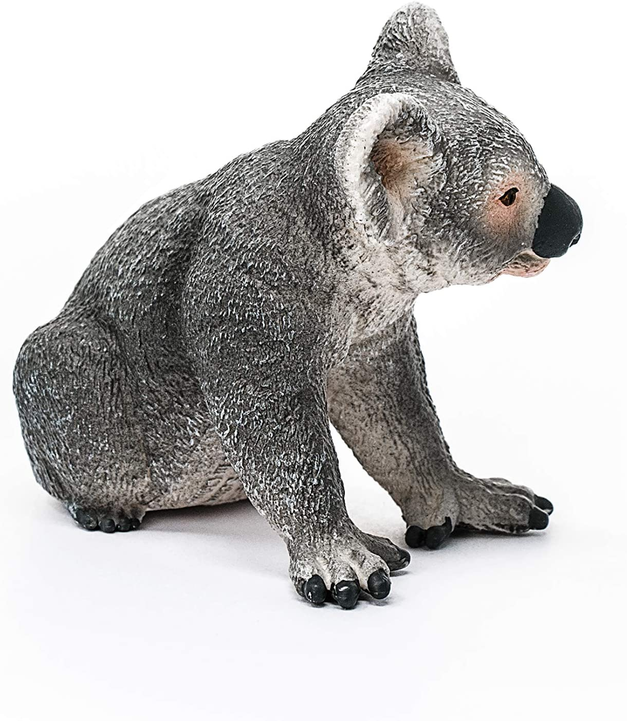 Schleich 14815 Koala Beartoy Figure, 2 Inches & Schleich SC14756 Kangaroo Figurine 7.0 Cm image number 5