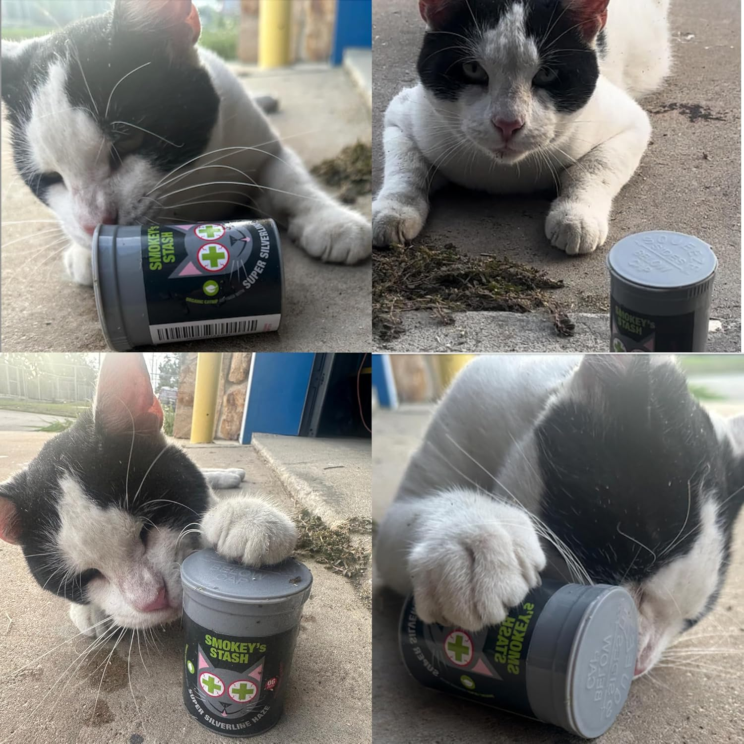 Smokey'S Stash Silvervine Haze Potent Catnip and Silver Vine Blend for Cats image number 5