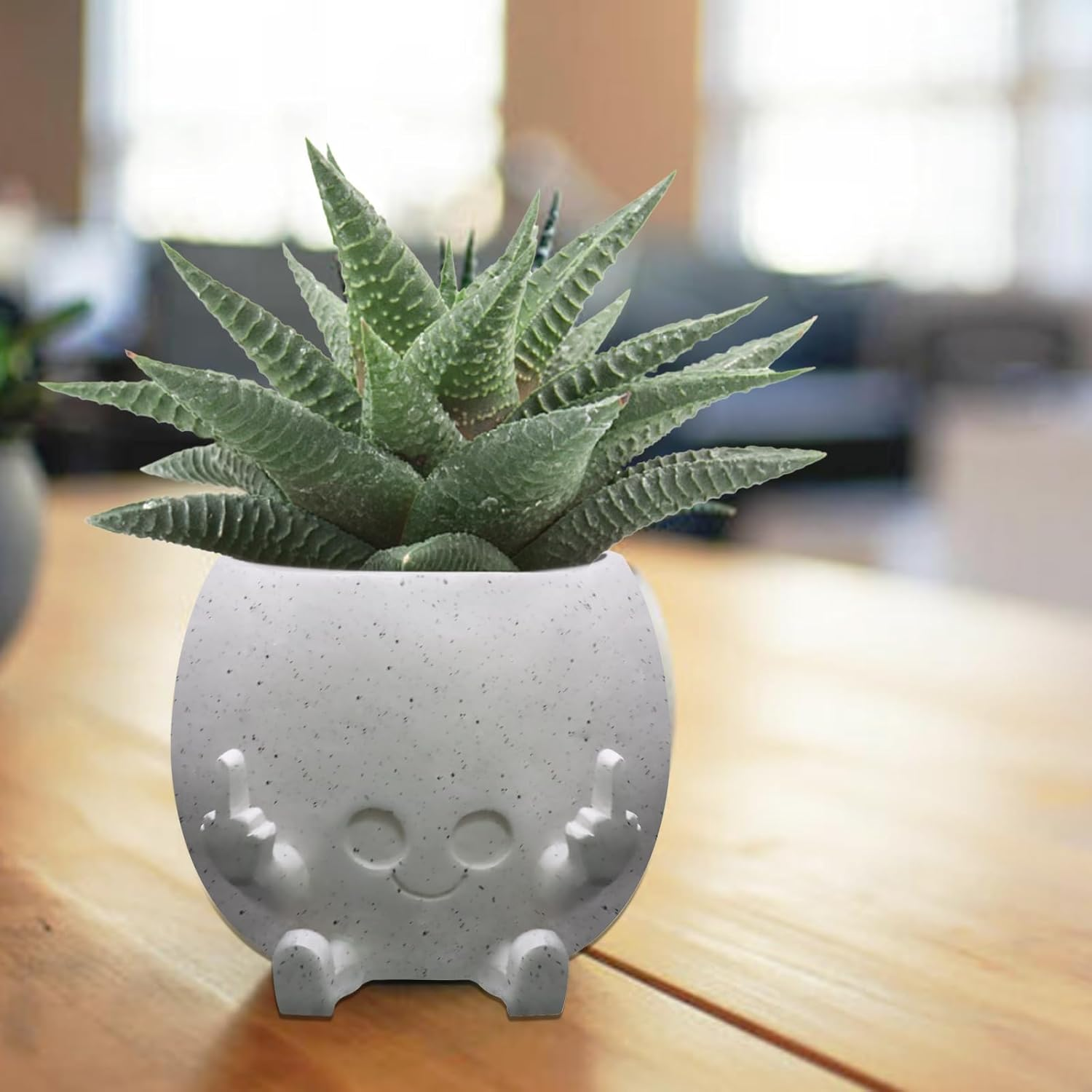 Smiling Plant Pot with Middle Fingers Up, Face Planter Pot Resin Flower Planters for Indoor Outdoor Plants Succulent Pots for String of Pearls Plant Live Gift Ideas for Mother (White) image number 4