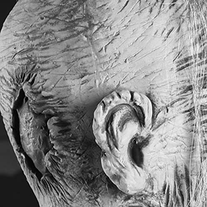 Mummy Head Hanging Ornament, Creepy Halloween Props Pendant Durable Halloween Horror Hanging Head Decoration for Home Haunted House Bar/1133 (Size : Male)