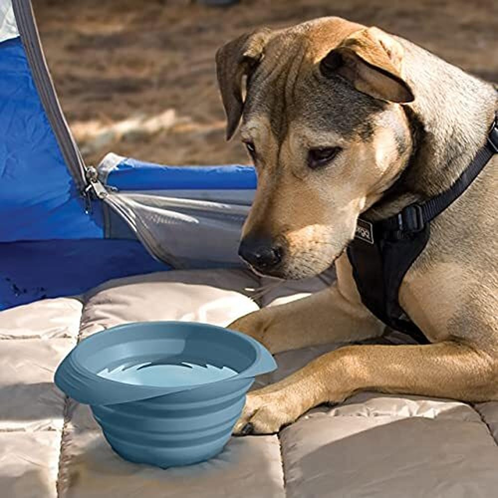 Kurgo Collaps-A-Bowl, Collapsible Dog Food and Water Travel Bowl, BPA Free, Includes Carabiner, Blue image number 3