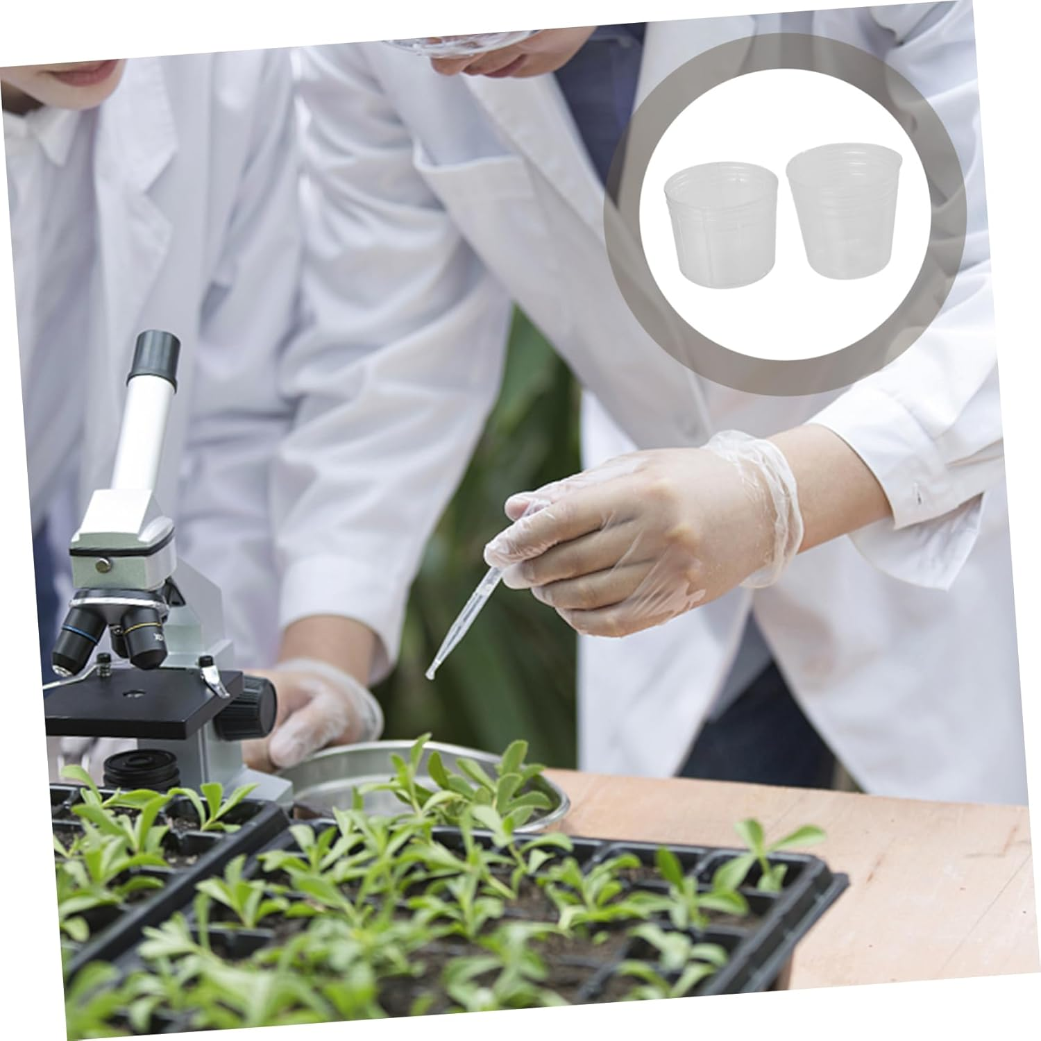 SUPVOX 50Pcs Plastic Nursery Cups with Dust Covers for Phalaenopsis Seedlings, Outdoor Planting Nutrient Pots, 1.5-Inch Gardening Containers for Orchid Propagation and Growth image number 4