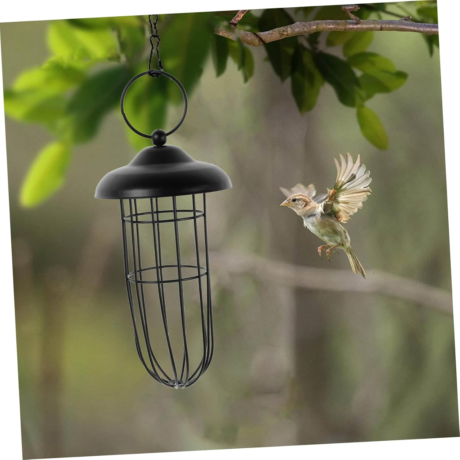 Ipetboom Outdoor Hanging Metal Bowl Bird Feeder Hollow-Out Design Iron Feeding Tool for Canary Parrot Lark Birds Supplies image number 5