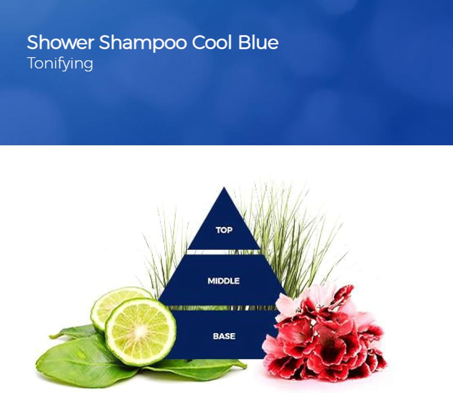 Felce Azzurra Man Shower Gel Cool Blue 2 in 1 Energising Shower Gel and Shampoo with Refreshing Fragrance for a Good Start to the Day - Pack of 1 (1 X 250 Ml)