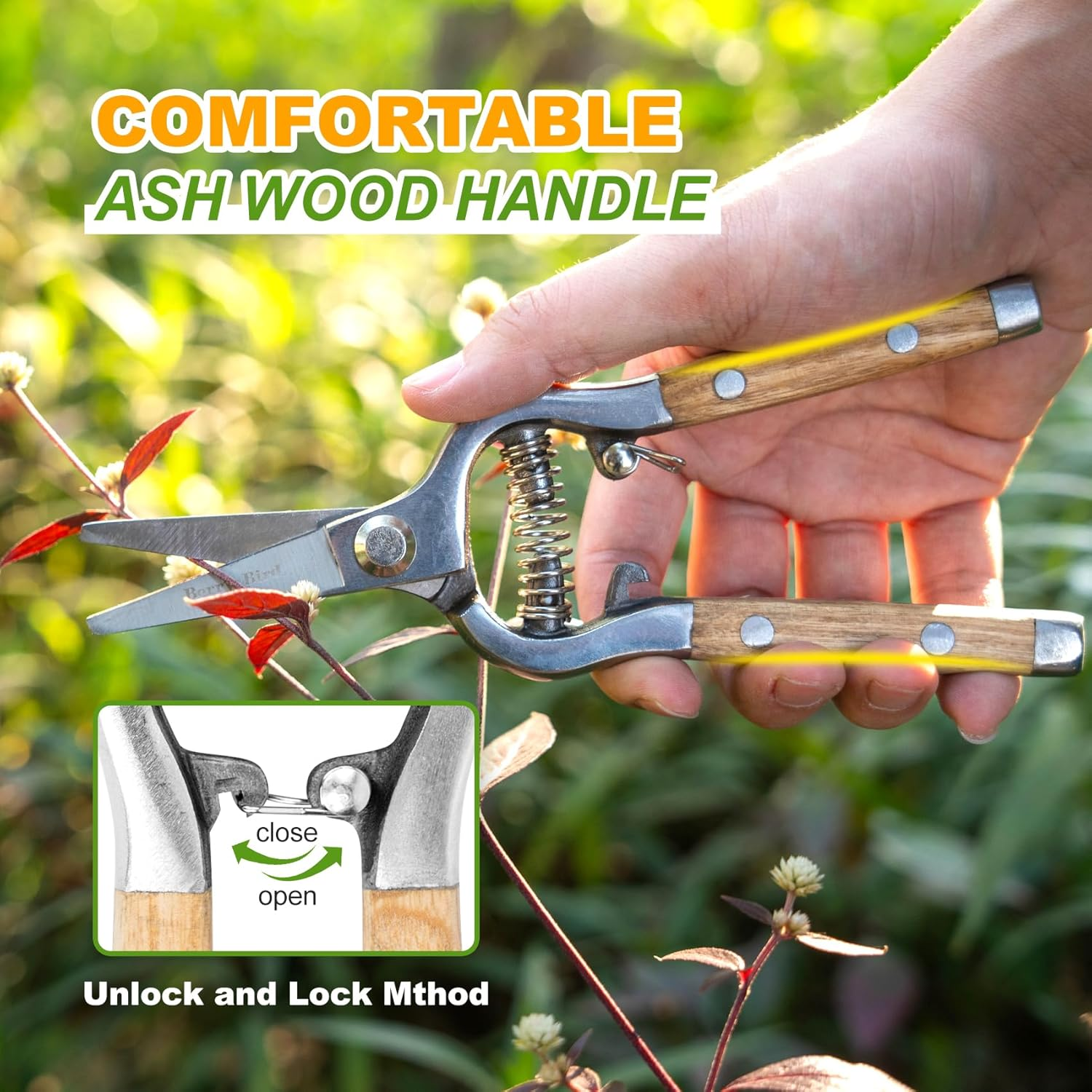 Berry&Bird Straight Pruning Shears with Stainless Steel Blades Garden Hand Pruner 8'' Scissors with Wooden Handle Clippers for Gardening Trimming Cutting Bonsai image number 1