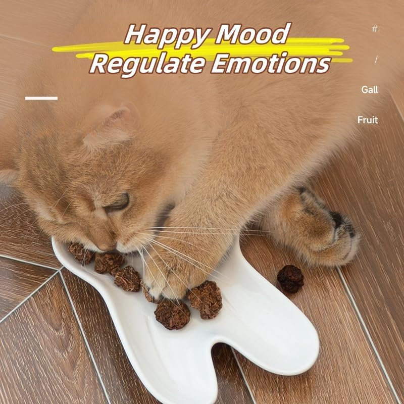 15PCS Natural Silvervine Gall Fruit with Perforated Holes - Cat Teething and Chew Toy for Teeth Cleaning, Mood Regulation and Appetite Improvement image number 4