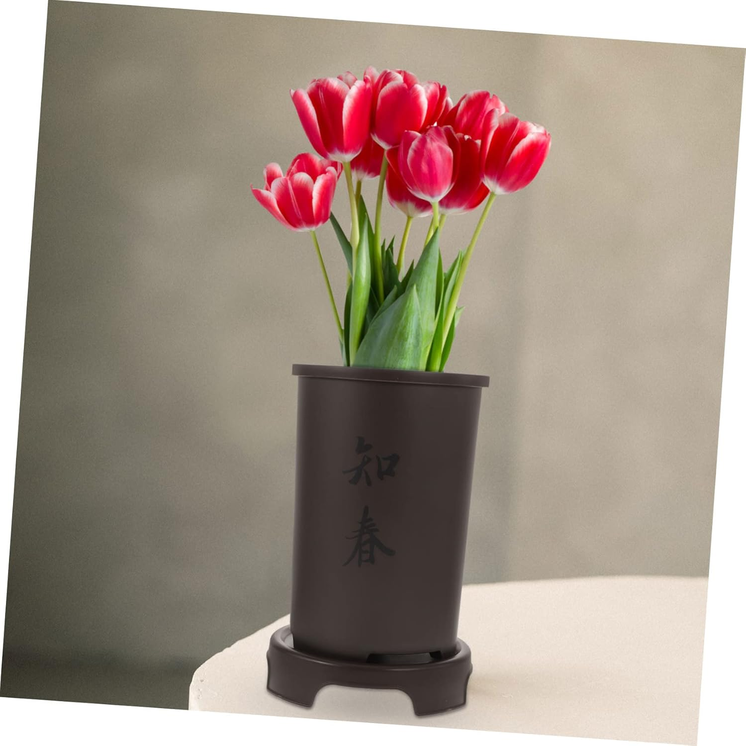 Yardenfun Decorative Plant Pots for Orchids Resin Flower Pots Drainage Tray Indoor Outdoor Planters image number 2