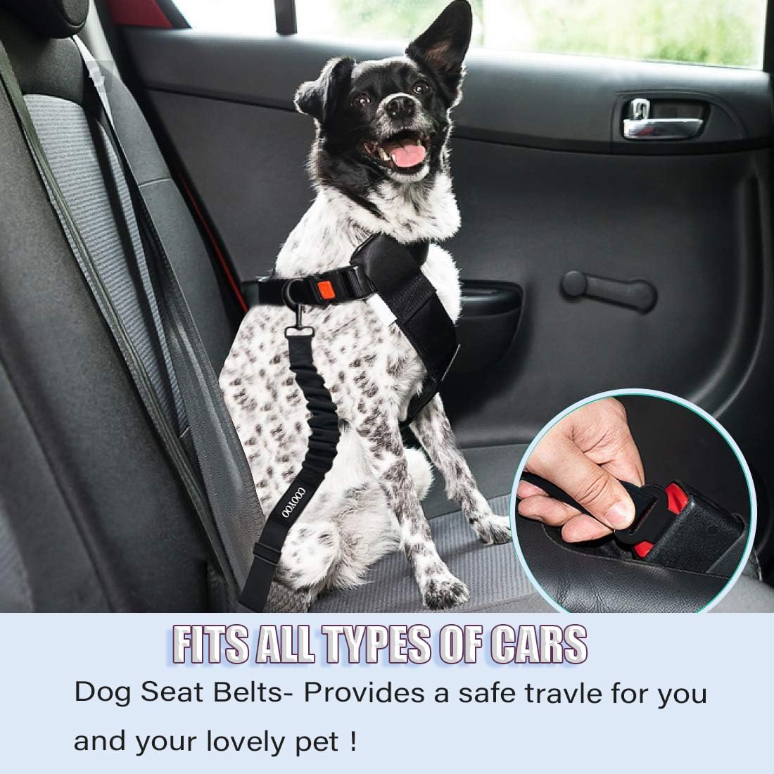 Dog Seat Belts for Cars, Leash Adjustable, Universal Dog Seatbelt for Car Travel, Elastic Buckle Pet Car Harness, Durable Cat Seat Belt with Strong Nylon Buffer-(Black) image number 2