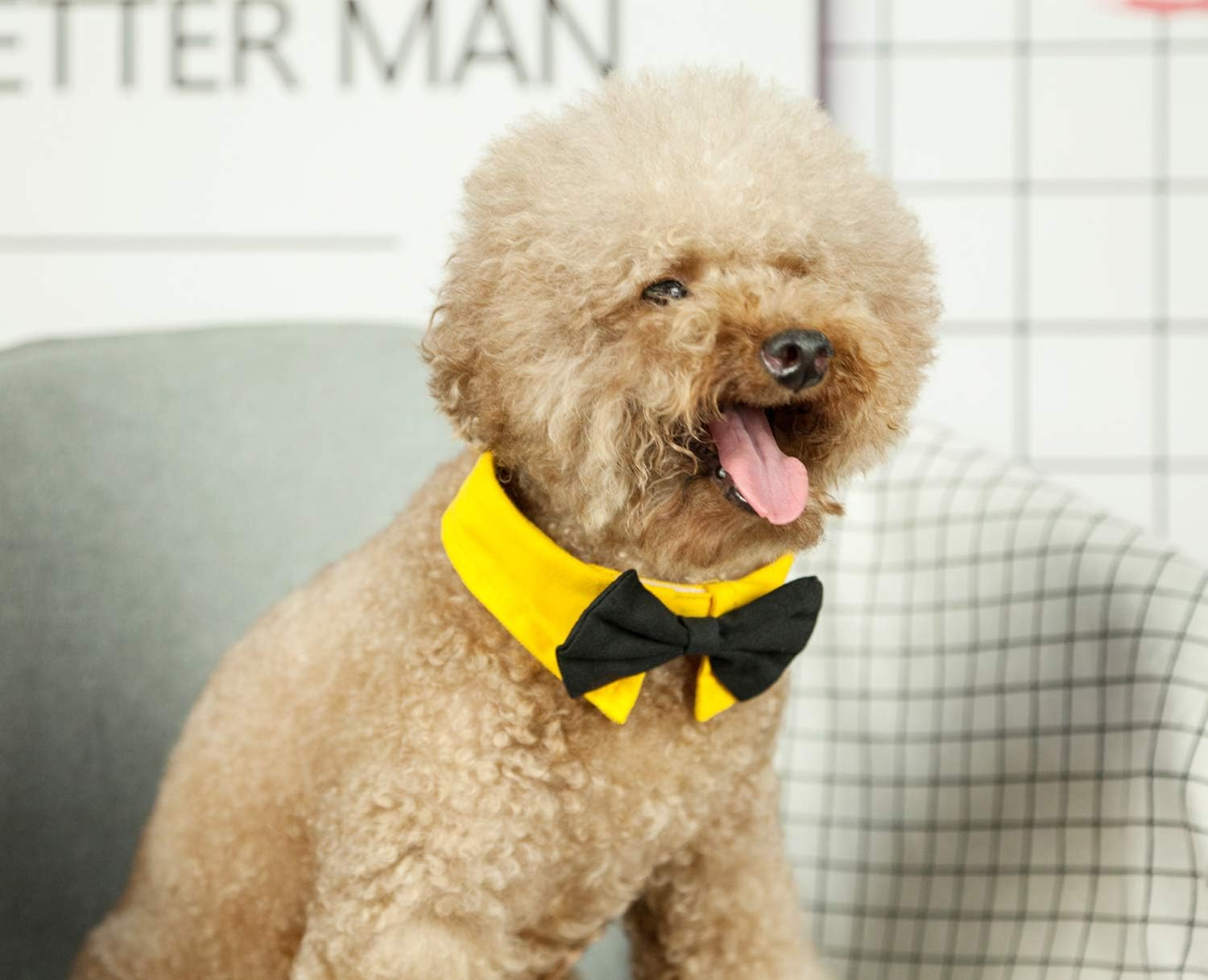 ZTON Handcrafted Adjustable Formal Pet Bowtie Collar Neck Tie for Dogs & Cats (S, Black 1) image number 6