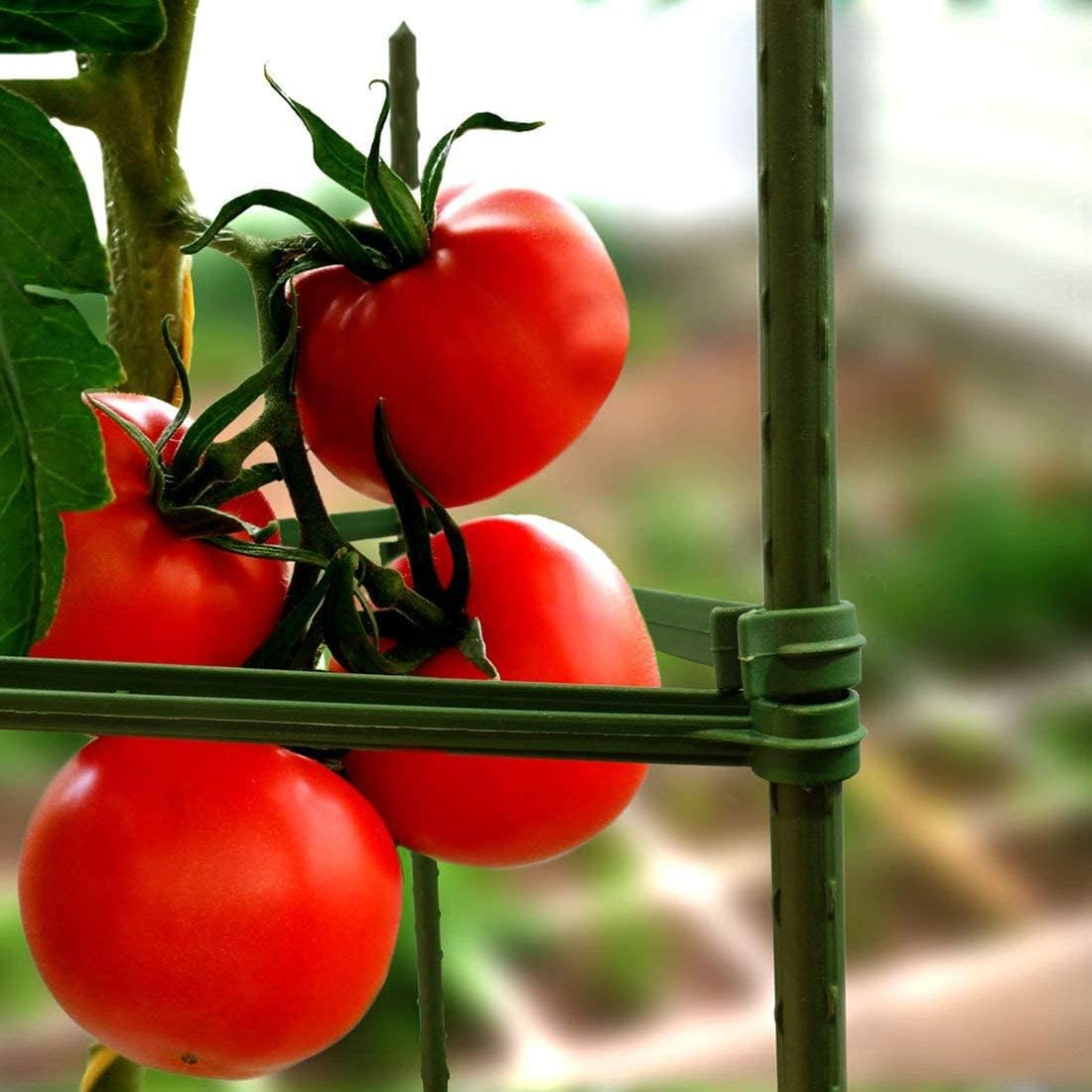 3 Packs Tomato Cages Plant Cages Deformable up to 48Inch Garden Tomato Stakes Vegetable Trellis, Plant Supports Tomato Trellis for Vertical Climbing Plants Flowers Fruits