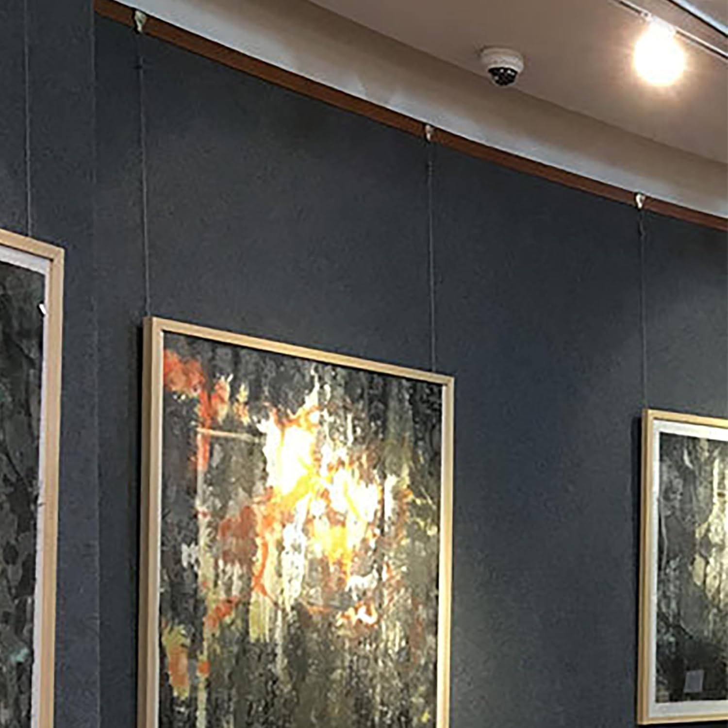 Tunghey 5Pack Sturdy Picture Rail Hanging System, 66 Lb (30 Kg) Max Load Capacity, Adjustable Wire Hooks Kit, Cable with Loop, Frames Display Kit (1.5M) image number 1