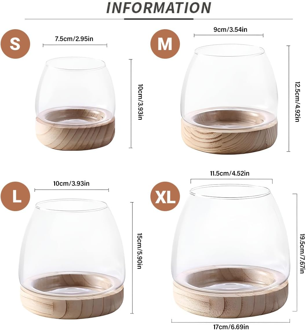 AIMALL Japanese Style Mini Glass Vase and Fish Tank - Hydroponic Plant Holder for Desktop Decor, Transparent Design image number 5