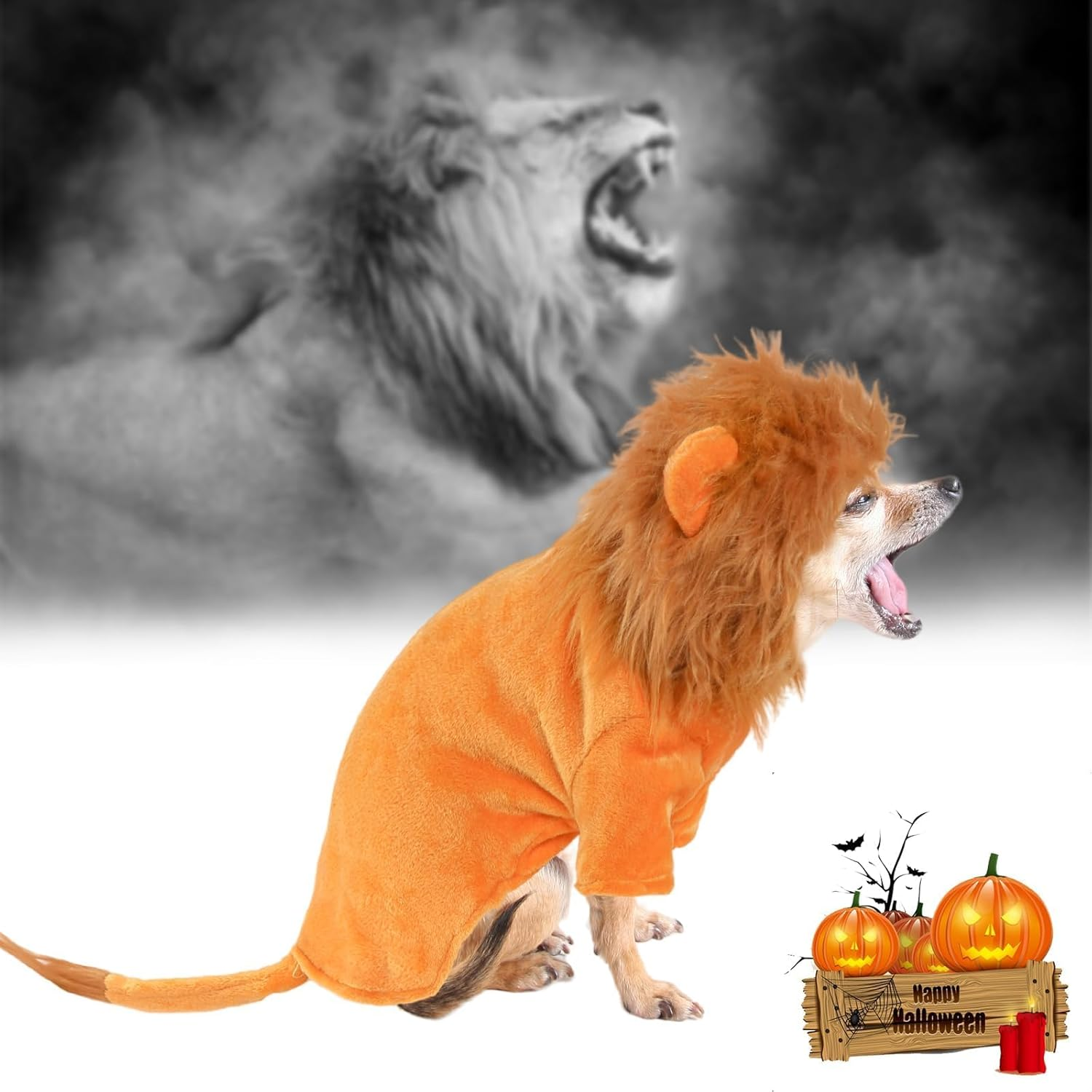 NACOCO Dog Halloween Lion Costume - Large Pet Clothes Cosplay Outfit Dog Lion Mane Apparel Party Hoodies Warm with Leash Hole for Small Medium to Large Sized Dogs (Xx-Large) image number 5
