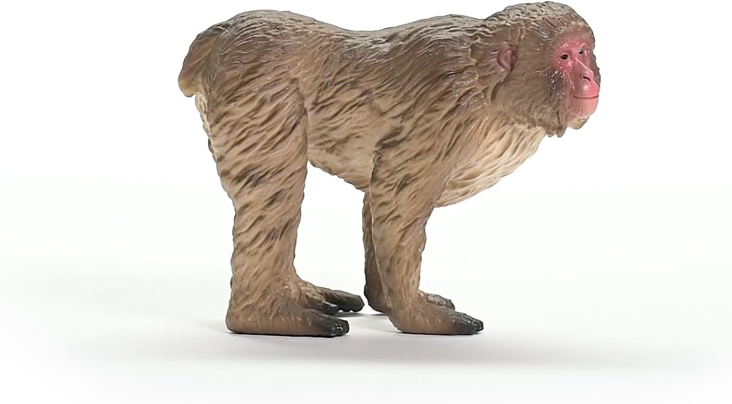 Schleich Wild Life - Wild Animal Toy Japanese Macaque Figurine - Kids and Toddlers Ages 3+ image number 2