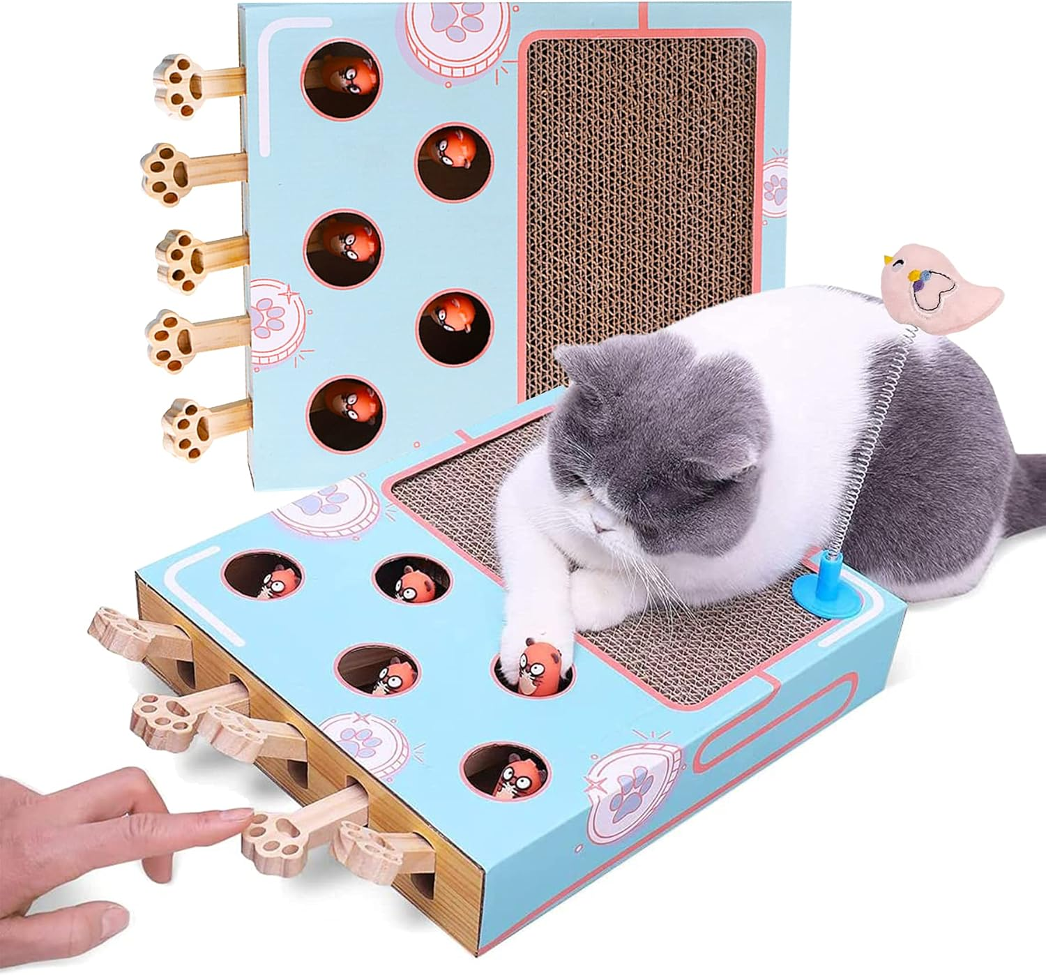 Updated Cat Enrichment Toy, 4 in 1 Cat Box with Spring, Scratching Board & Ball Toy for Indoor Cats, Interactive Toy for Physical Exercise & Entertained. image number 2