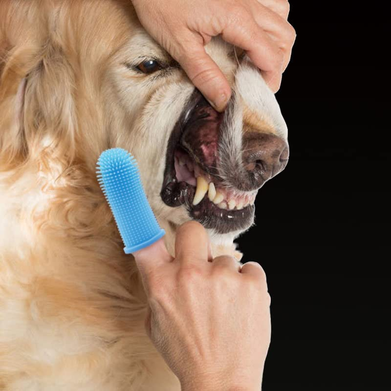 Dog Toothbrush 4Pcs, 360&deg; Dog Finger Toothbrush Silicone Teeth Cleaning Brushes for Cat Dog Pet Dental Care image number 5