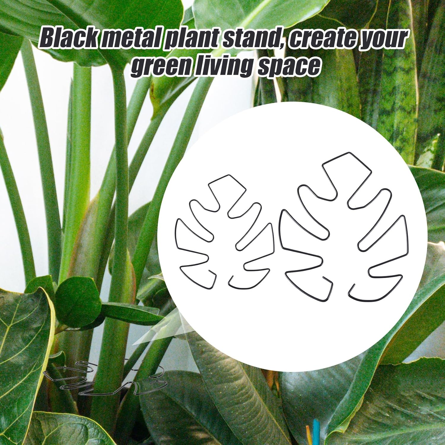 BOXOB Pack of 2 Plant Supports for Monstera Leaves, 2 Sizes Hooks to Support Climbing Plant Stems, Ideal Plant Support Monstera for Thriving Plant Growth (Black) image number 6