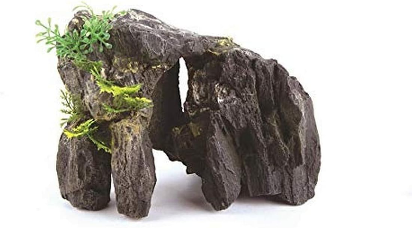 Kazoo Granite Rock with Plant, Mini