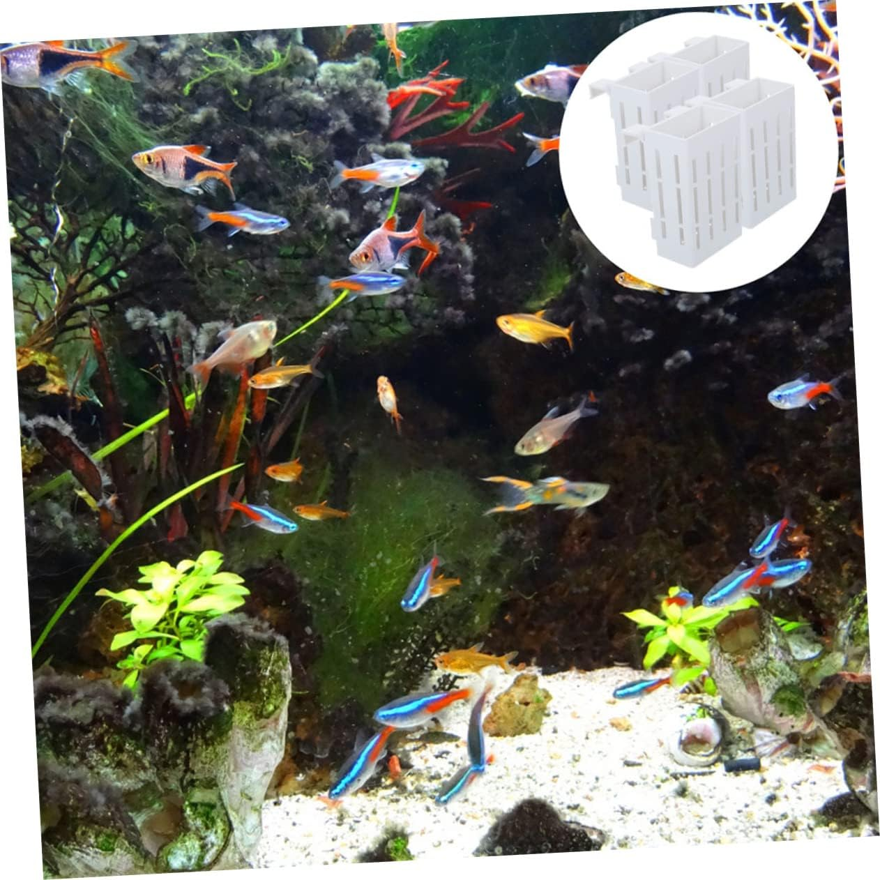 4Pcs Plastic Aquarium Plant Pots Live Plant Pot Hanging Holder for Fish Tank Decor for Aquatic image number 3