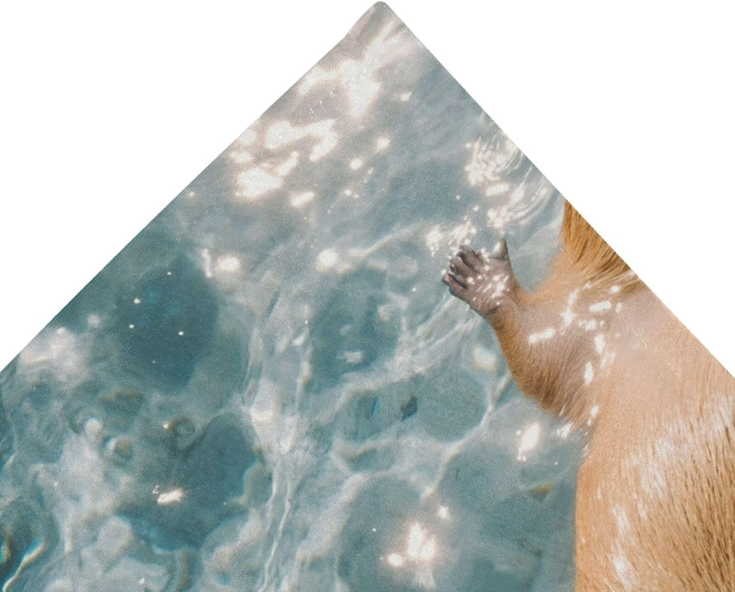 AIXIWAWA Tapestry Floating Capybara Print Wall Art Wall Decors for Bedroom Living Room 60X40 Inches image number 2