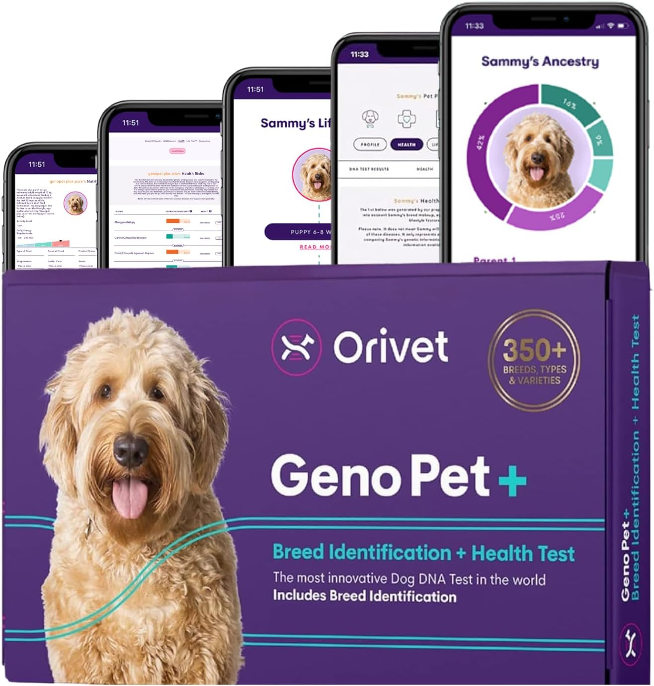 ORIVET Dog DNA Test Kit for Breed Identification & Genetic Health &ndash; 365+ Breeds, Puppy DNA Test, Mixed Breed Testing, Trait & Ancestry Report, at Home Cheek Swab, Vet Approved (ORIVET Genopet Plus)