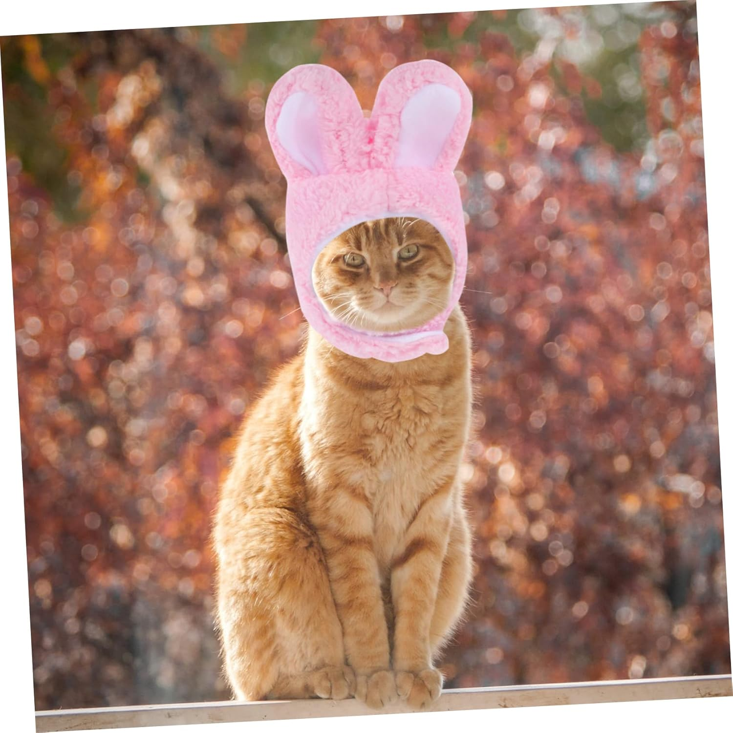 BESPORTBLE 2Pcs Pet Dog Hat Puppy Cat Hat Pet Costume Bunny Ears Rabbit Cat Ears for Small Medium Dogs Random Style image number 5