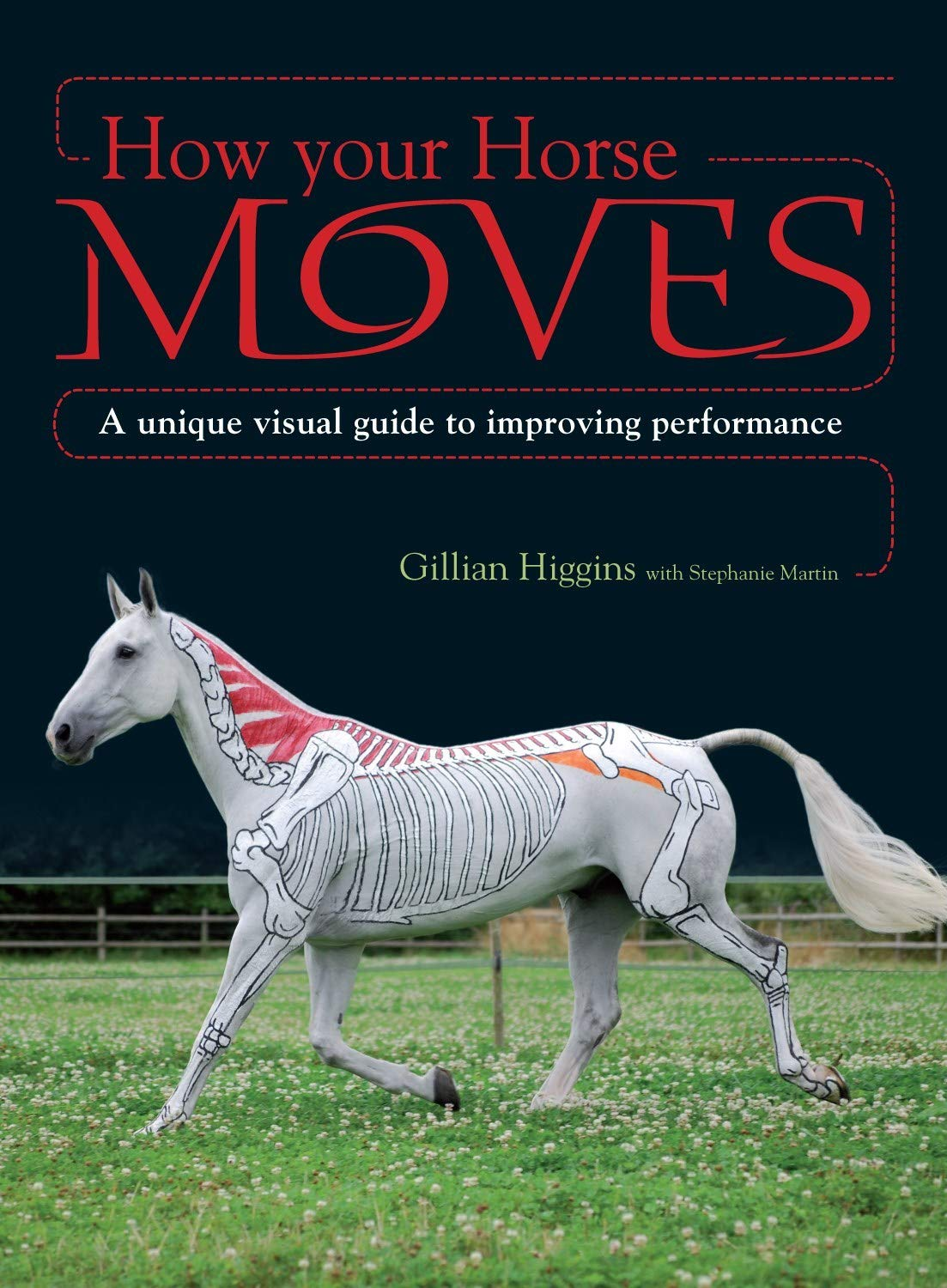 How Your Horse Moves: a Unique Visual Guide to Improving Performance image number 2