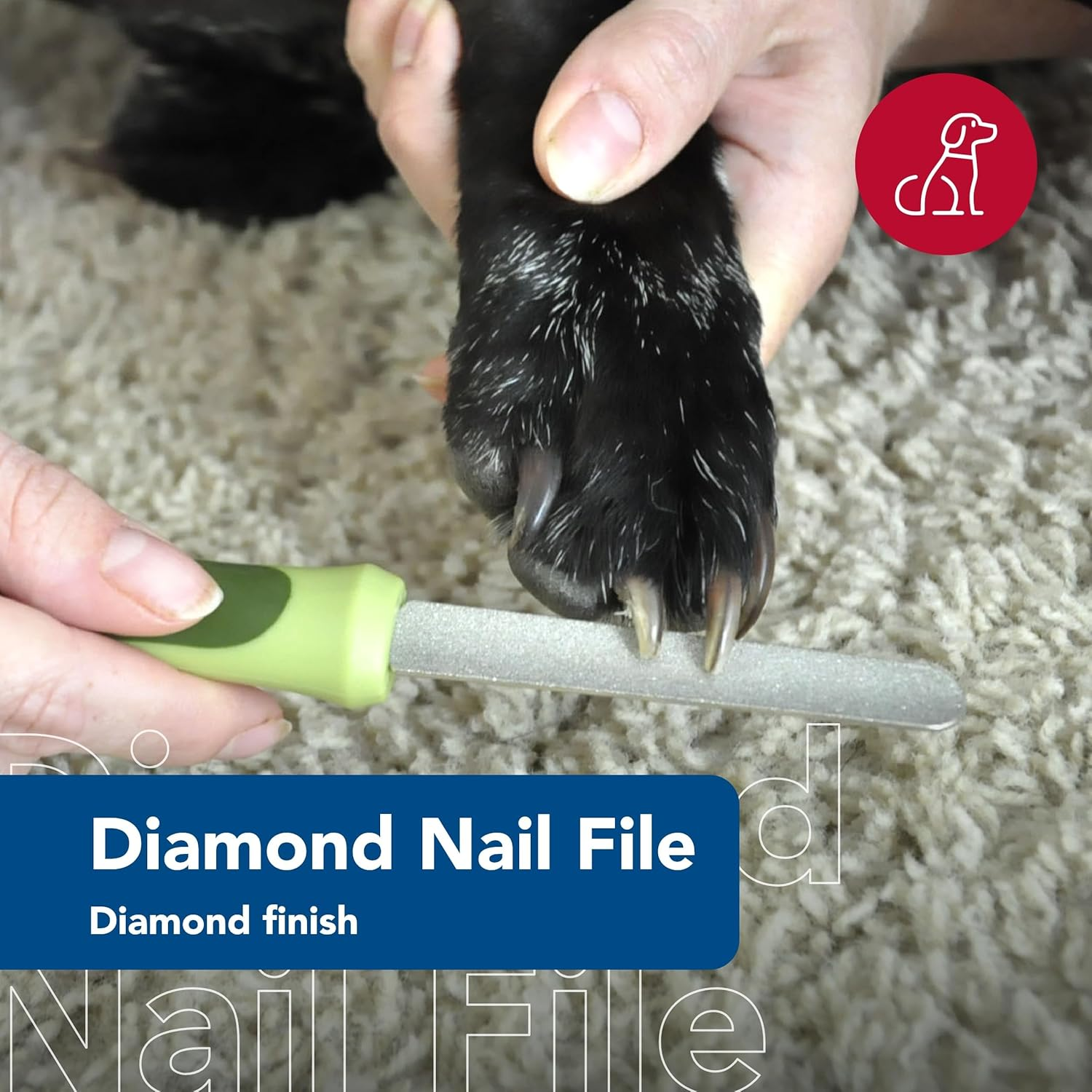 Coastal Pet Safari Dog Diamond Nail File - Diamond Finish for Smooth Nails - Removes Burs from Outdoor & Indoor Dogs - One Size image number 2