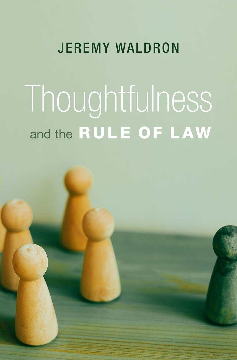 Thoughtfulness and the Rule of Law image number 1