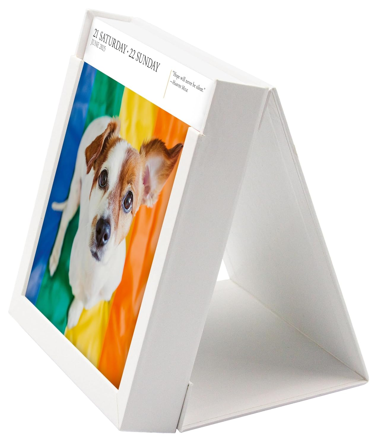 Dog Page-A-Day Gallery Calendar 2025: an Elegant Canine Celebration image number 1