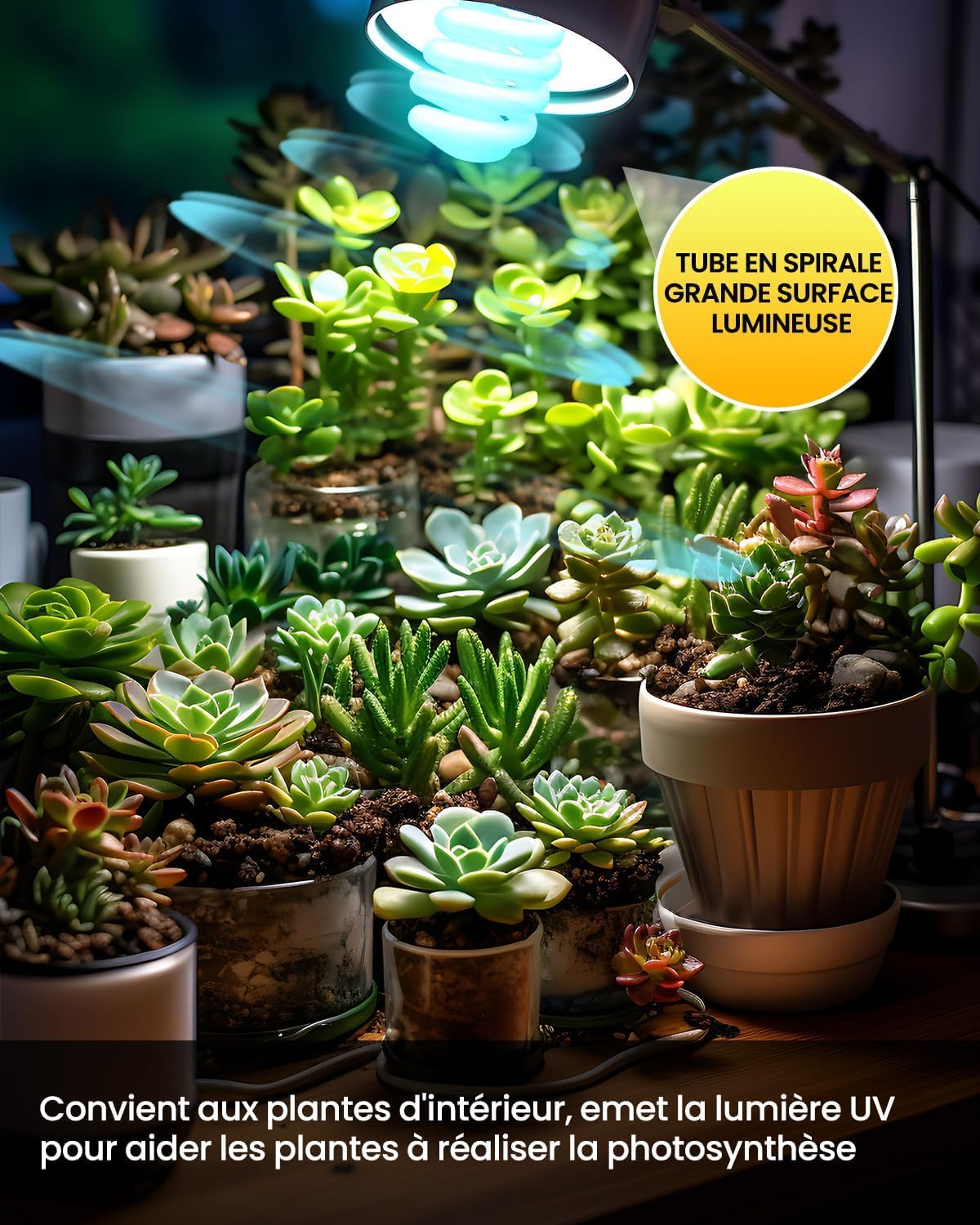 UVB Bulb E27 26 W AC220-240 V E27 UV UVB Reptile Terrarium Lamp Fluorescent Lamp UV UVB 5.0 Lamp Terrarium for Aquarium, Glass Container, Feeder, Turtle, Snake, Etc. (1 Piece) image number 1