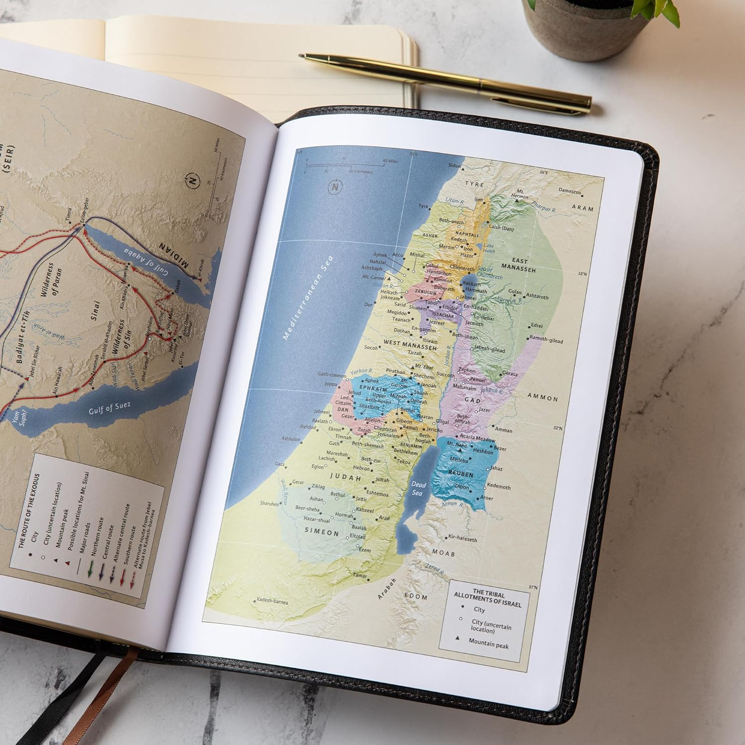 CSB Verse-By-Verse Reference Bible, Black/Brown Leathertouch