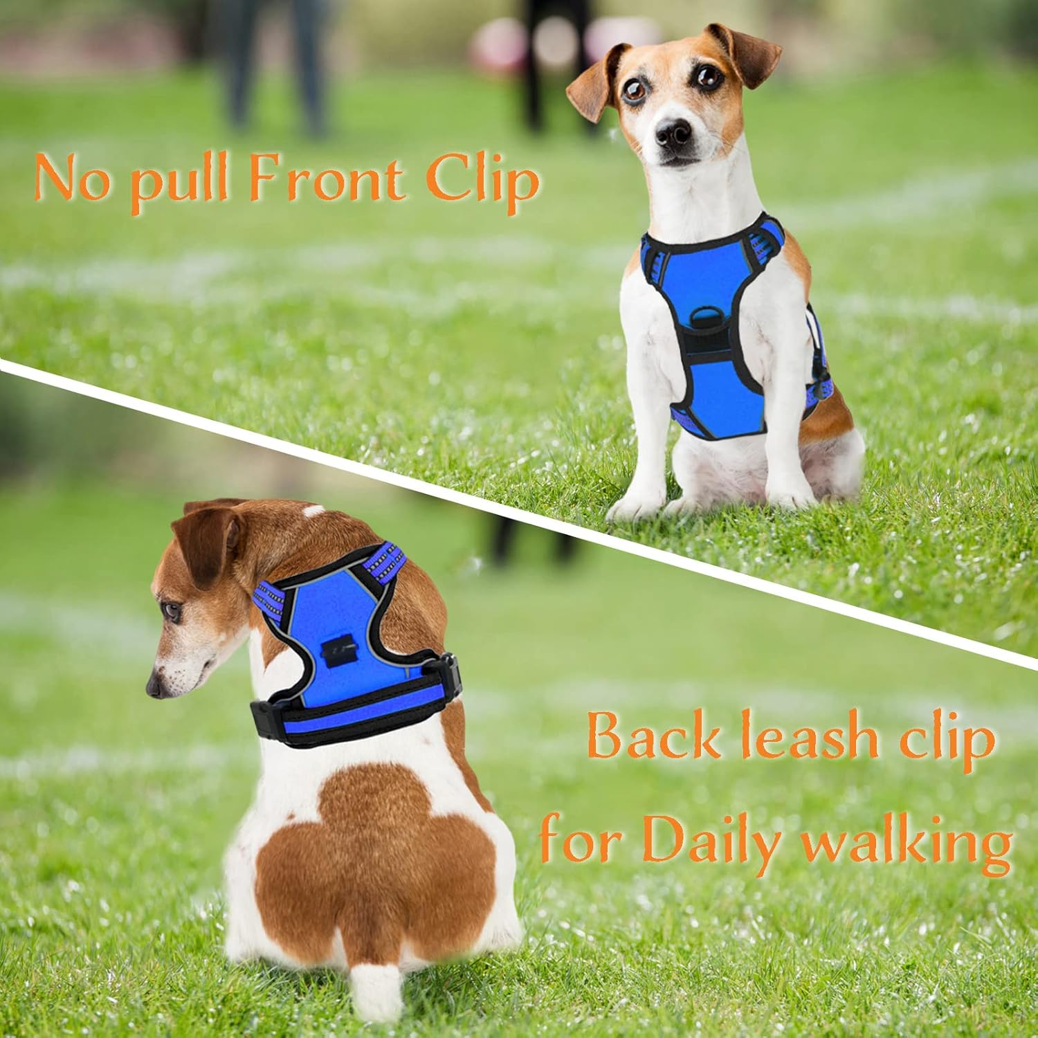 No Pull Dog Harness for Medium Large Dogs Adjustable Reflective Pet Vest Harness for Small Dogs Front Clip Harness Easy Control Handle Best for Outdoor Training and Walking Blue S image number 4