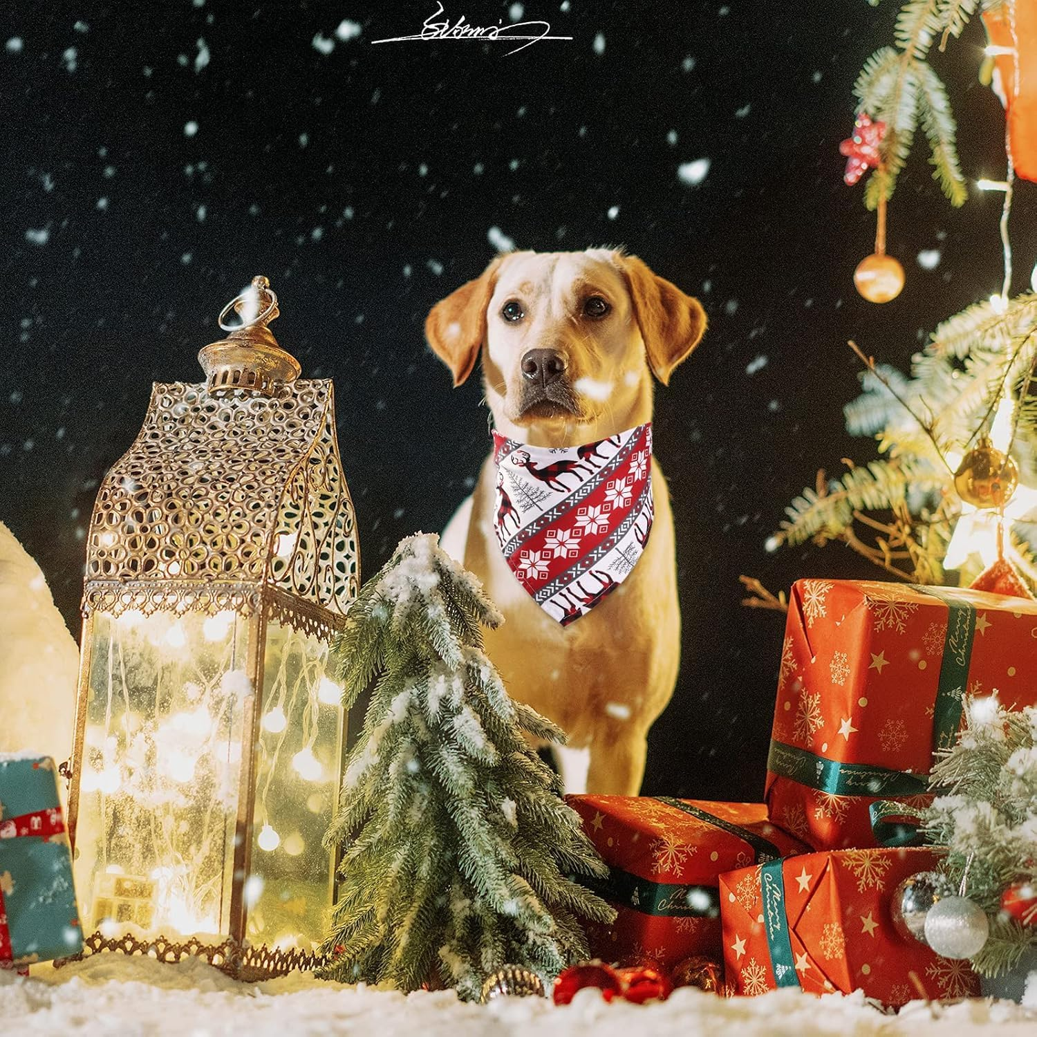 Christmas Dog Bandanas,2 Pcs Pet Bandanas Xmas Pet Triangle Scarf Santa Claus Dog Kerchief Set Deer Triangle Bibs Pet Scarf Neckerchief Washable Pets Bibs for Dogs Cats Costume Accessories Gift