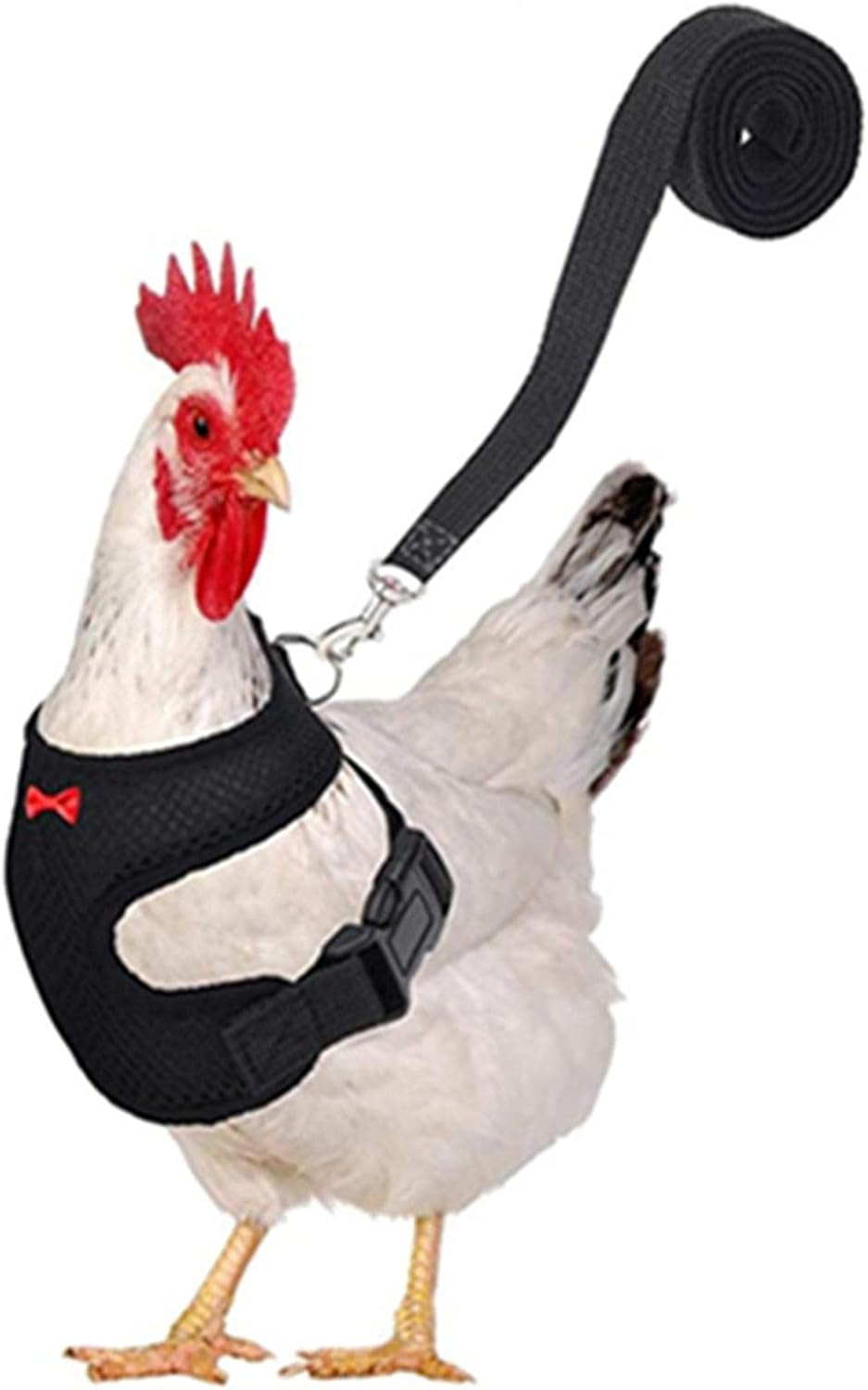 Chicken Harness and Leash | Adjustable Duck Harness with Leash and Matching Belt | Chicken Accessories, Duck Harness with Elastic Chin Strap for Duck Parrot Small Pets Qincu-Au