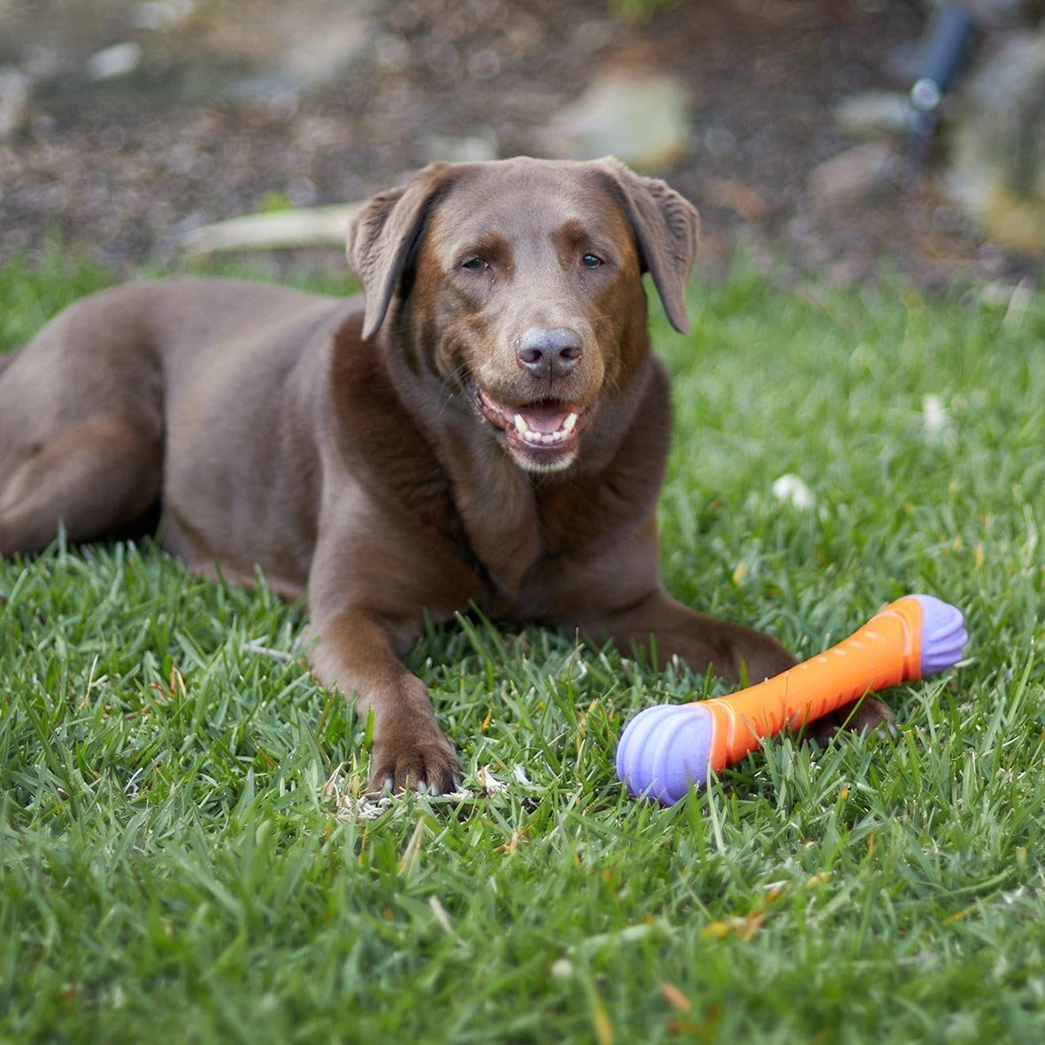 Kazoo Extreme Play Chew Stick, Large