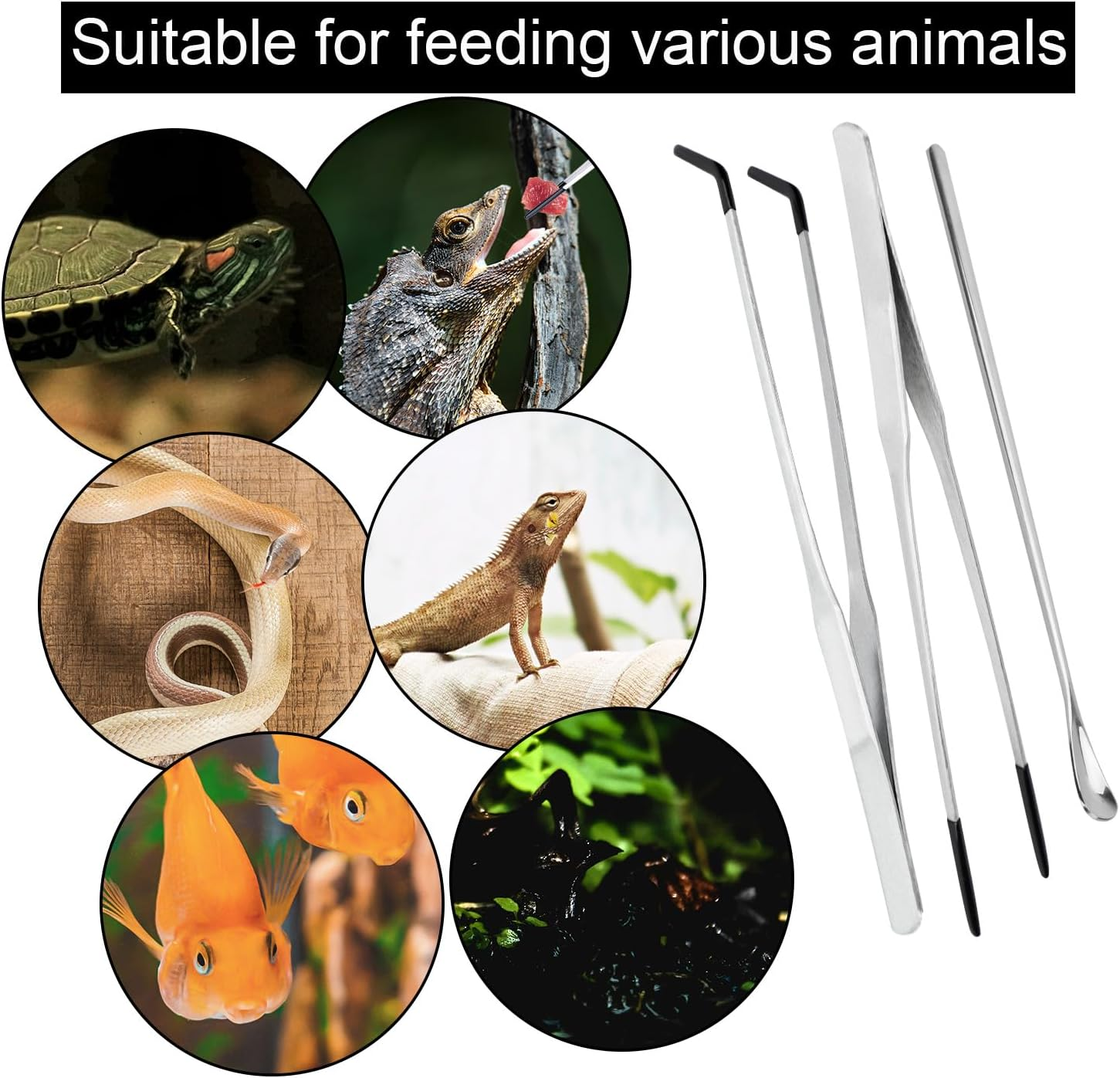 3Pcs Reptile Feeding Tongs, Reptile Feeding Tweezers with Rubber Tip Straight Clip Curved Clip Spoon Long Aquarium Tweezer for Terrarium Lizard Spider Snake Tank Accessories for Reptile Lovers image number 5