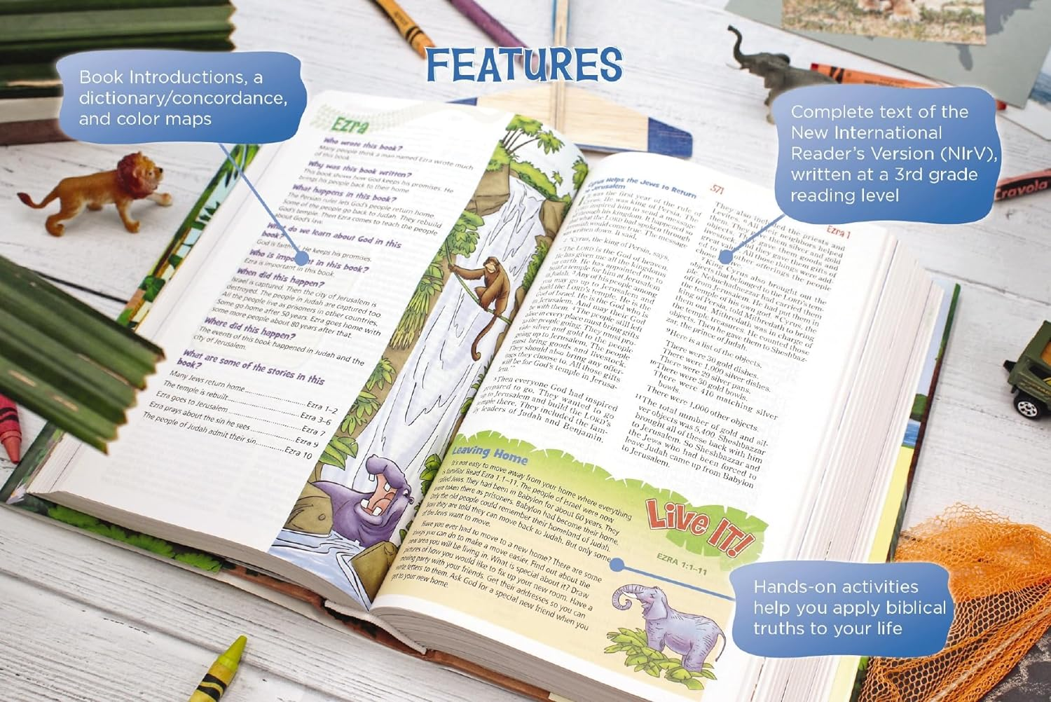 Nirv, Adventure Bible for Early Readers, Leathersoft, Purple, Full Color image number 5