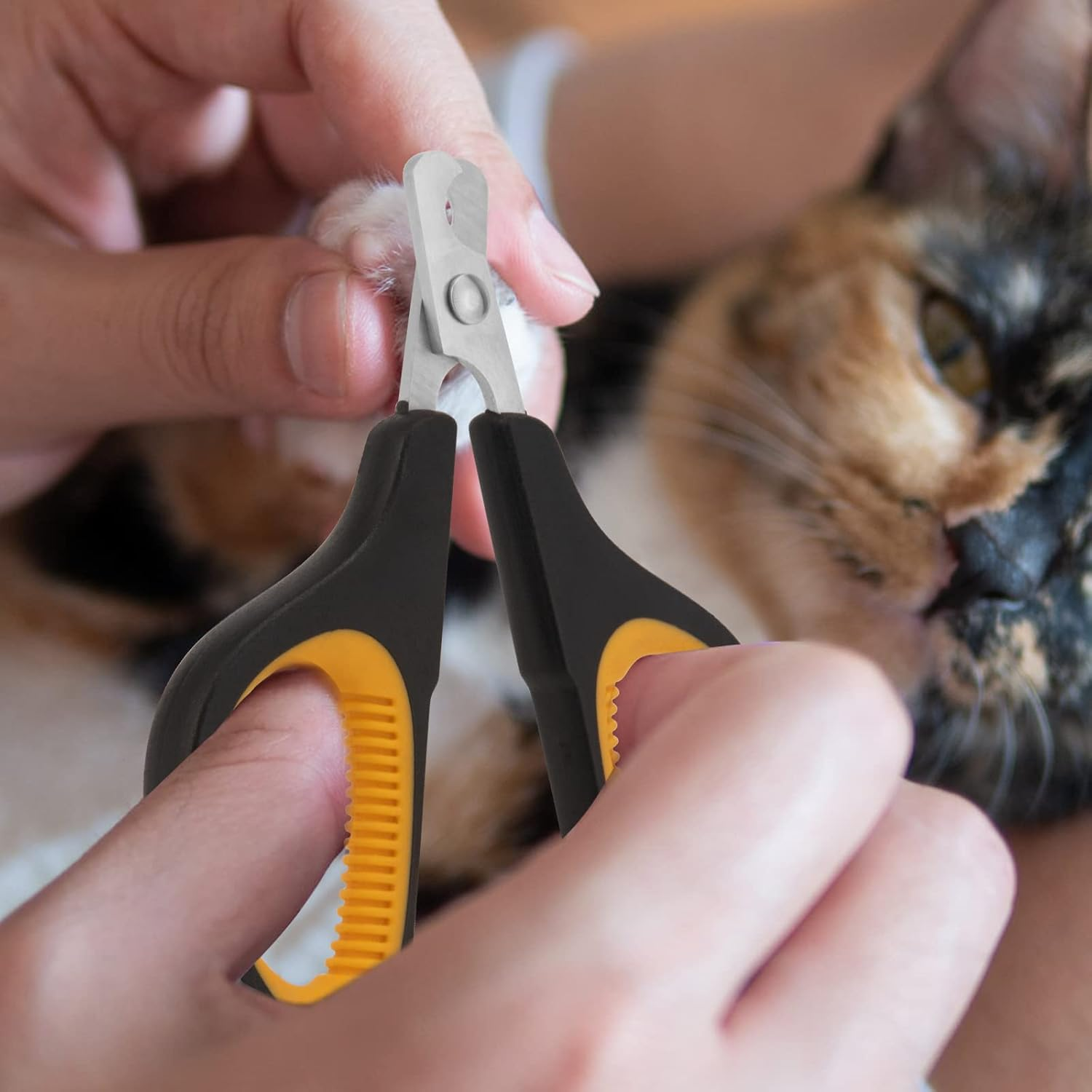 Cat Nail Clipper, Premium Dog Nail Clippers Trimmers Cat Claw Pet Nail Clippers Professional Ergonomic Anti-Slip Small Animals Grooming Tool for Kitten Cats Puppy Birds Hedgehogs Rabbits Hamsters image number 5