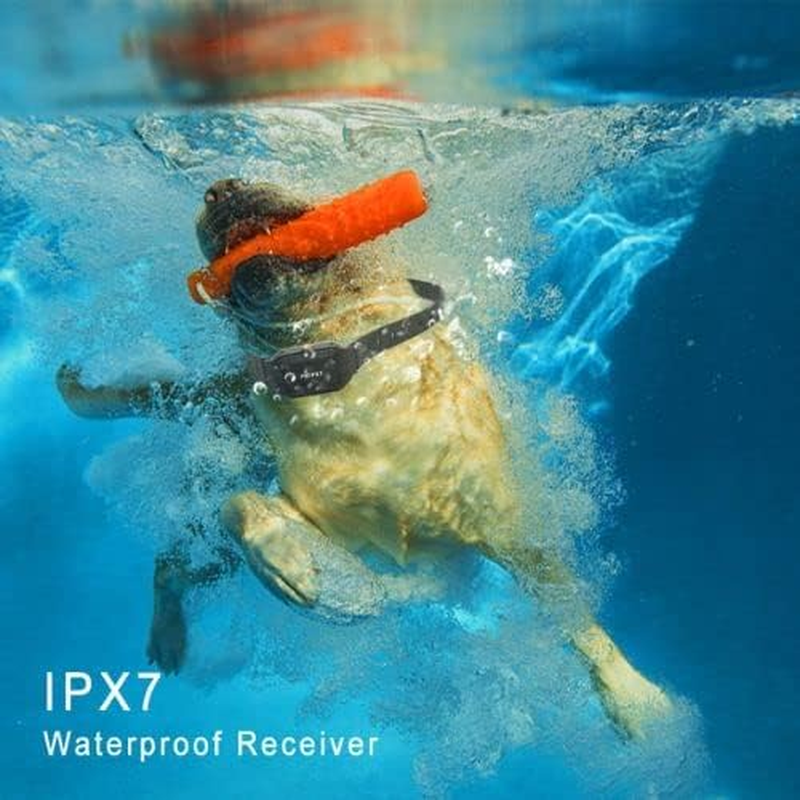 HW900 Waterproof Outdoor Dog Training Collar for Medium to Large Dogs with Remote, Beep Tone, Vibration, and Bark Control (1 Collar) image number 4