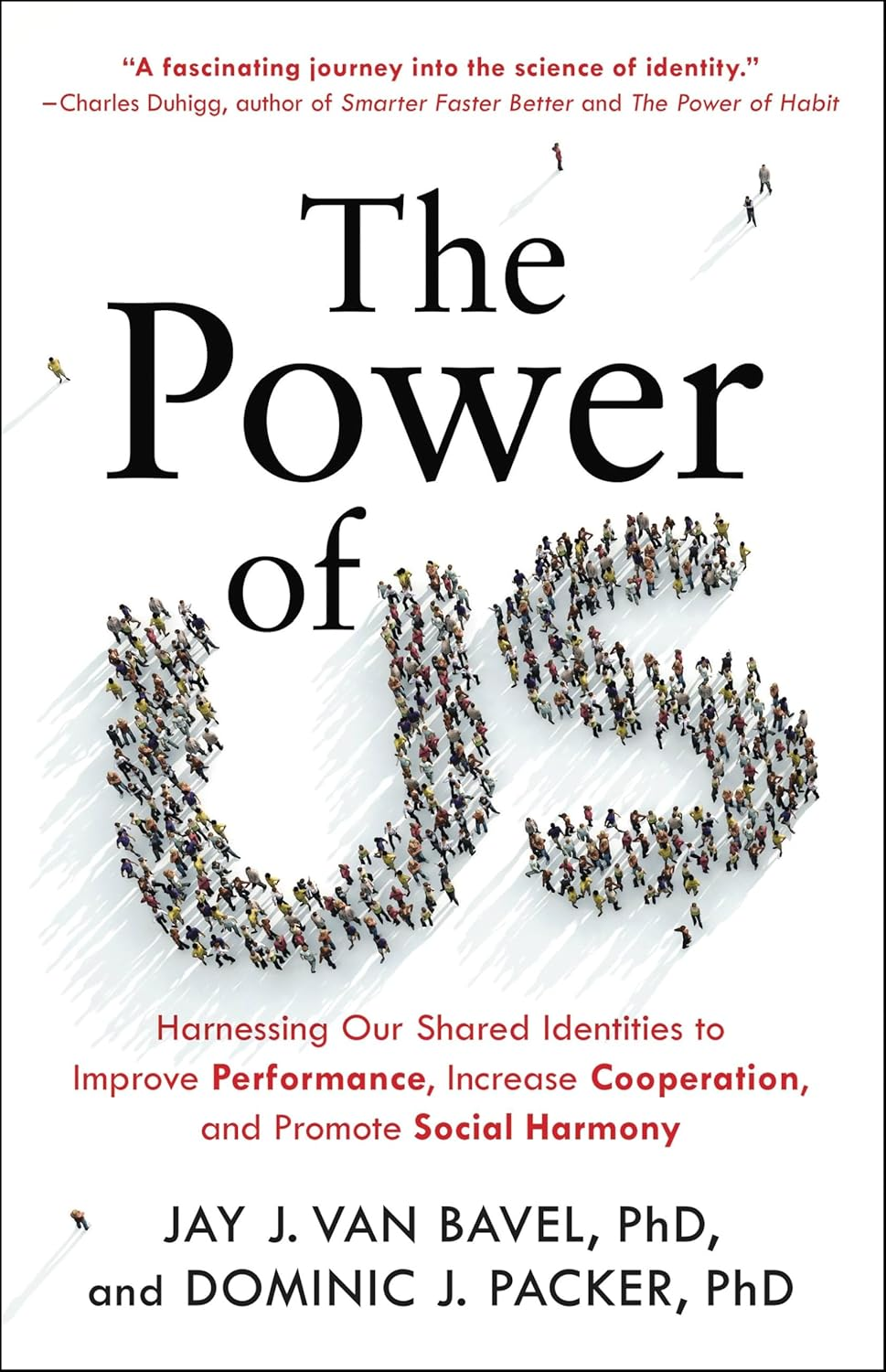 The Power of Us: Harnessing Our Shared Identities for Personal and Collective Success
