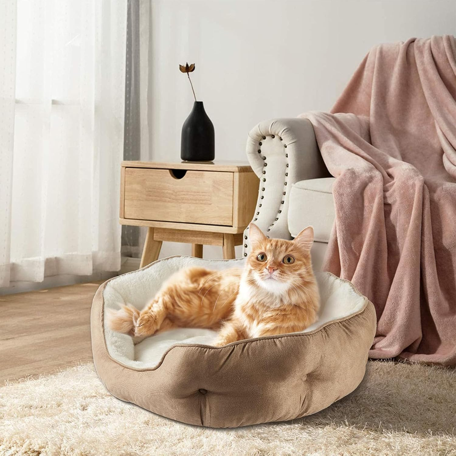 Small Dog Bed & Cat Bed - Soft round Pet Bed for Puppies & Kittens, Non-Slip Bottom, Orthopedic Support, Plush Fleece, Indoor Comfort for Small Pets image number 2